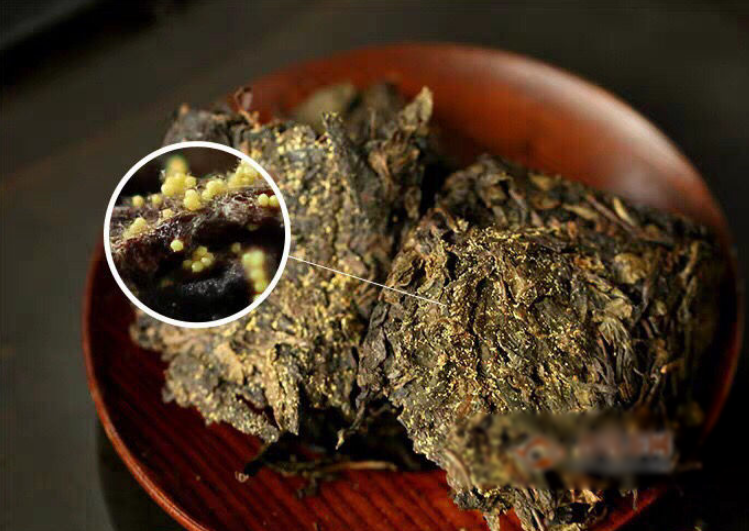 大量喝黑茶副作用,喝黑茶要适度!