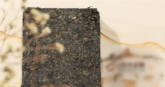吃药可以喝茯茶吗?不可以