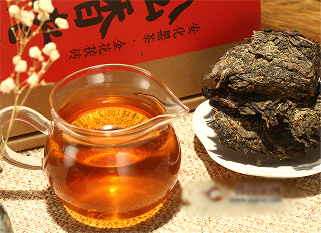 吃药可以喝茯茶吗?