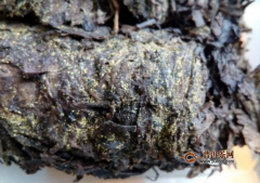 金尖藏茶的功效与作用,营养价值